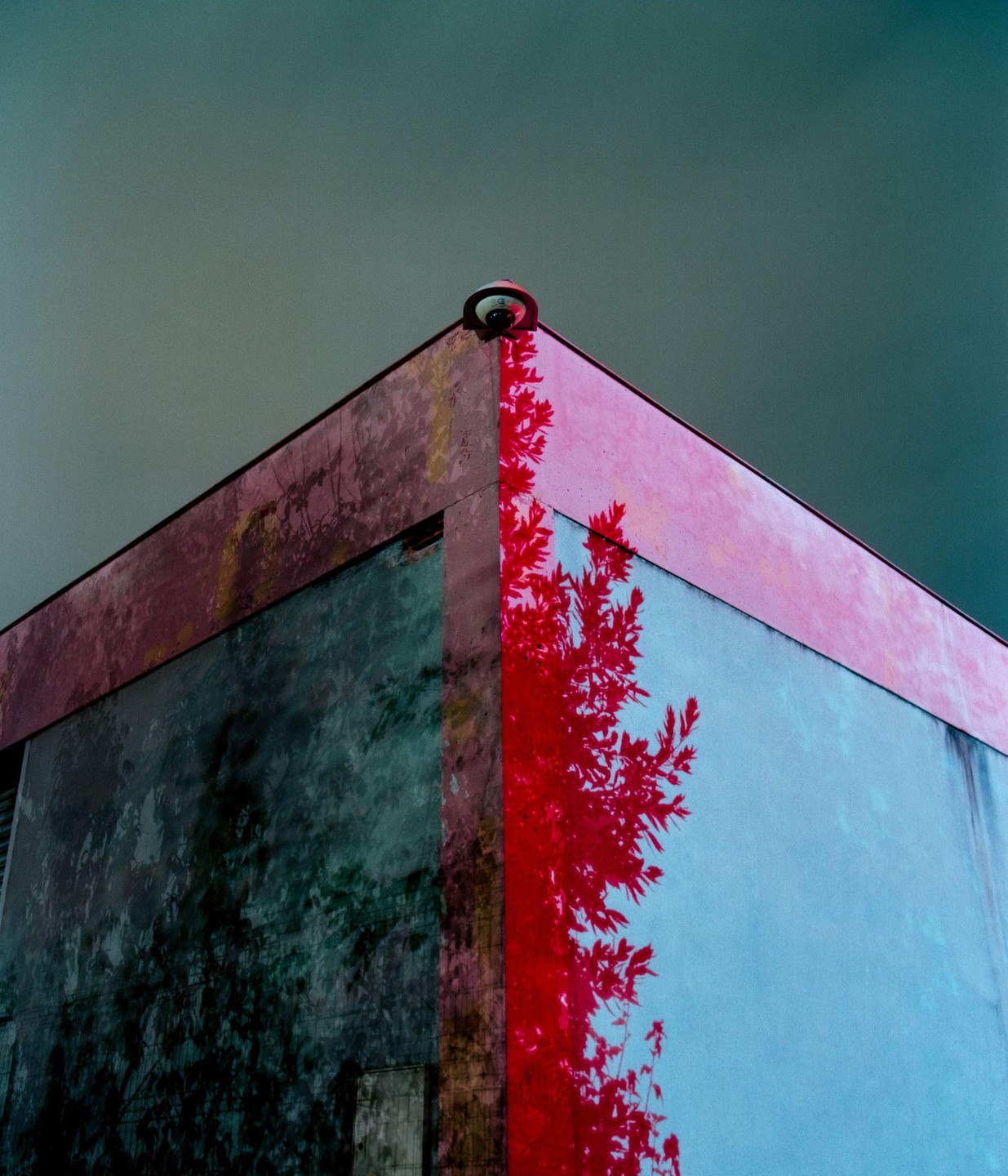 A security camera is mounted on the corner of a building with a red tree reflection on its wall.