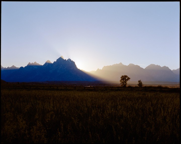 Sunlight streams over a mountain range, illuminating a field and a lone tree in the foreground.