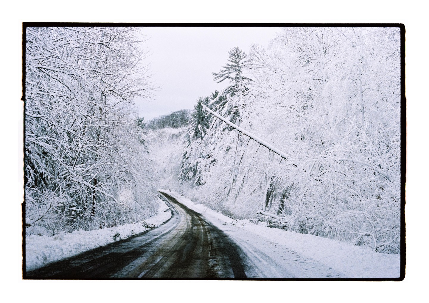 A winding road is covered in snow, with snow-laden trees lining both sides of the road.