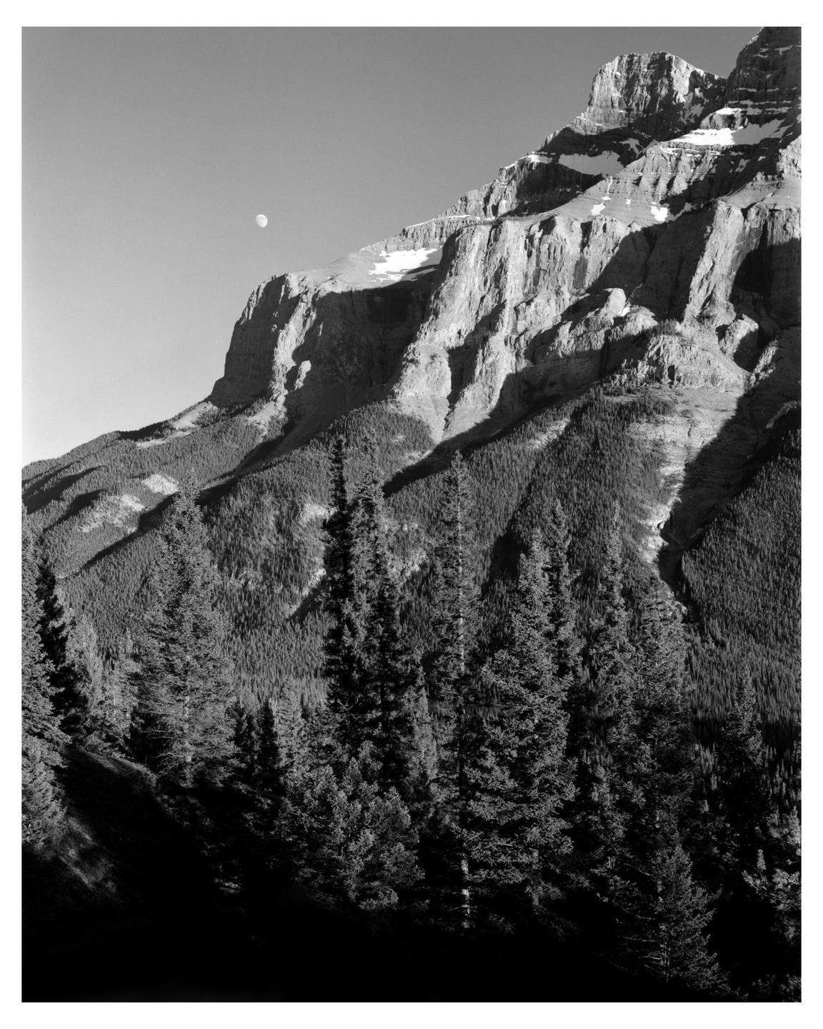 A moon is visible in the sky above a mountain with trees in the foreground.