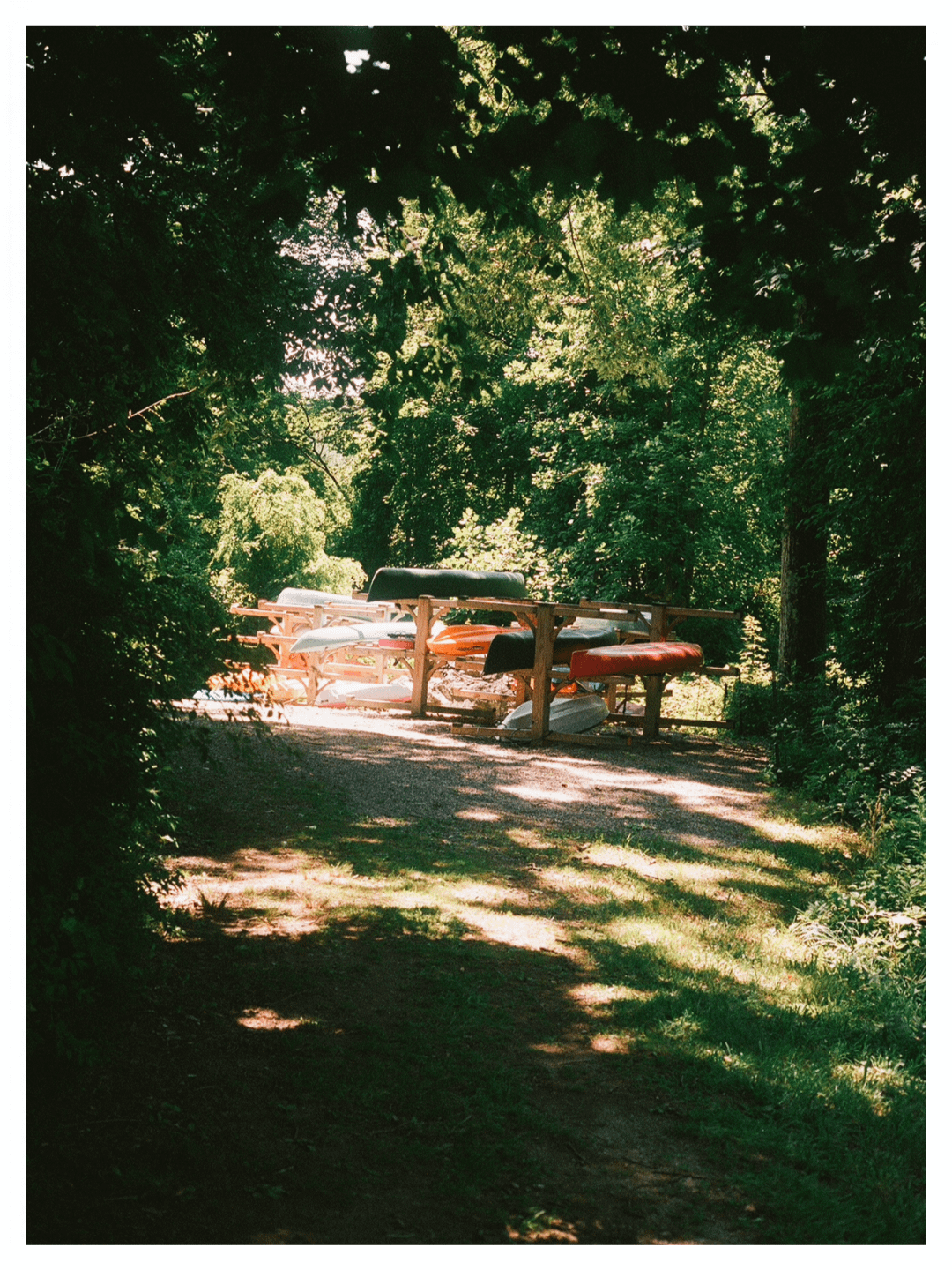 A rack of canoes and kayaks sits under a canopy of green trees, with dappled sunlight on the ground.