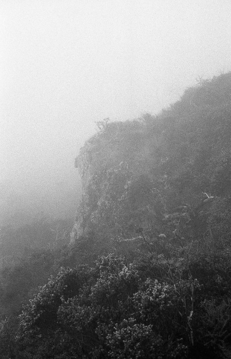 A black and white landscape shows a rocky cliff and dense vegetation shrouded in fog.