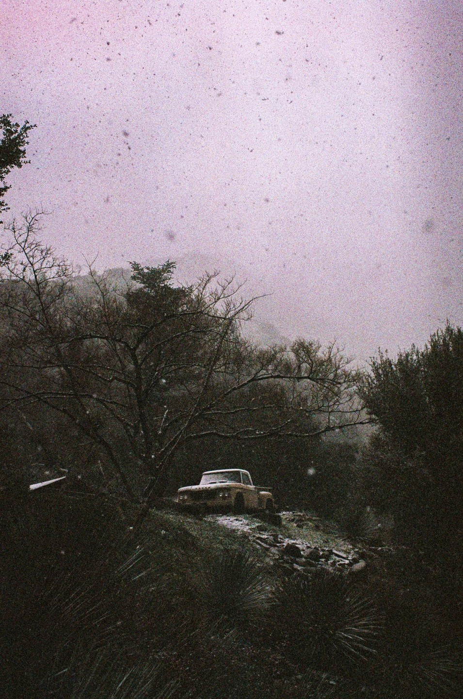 A lone truck is parked on a snowy hill surrounded by trees.