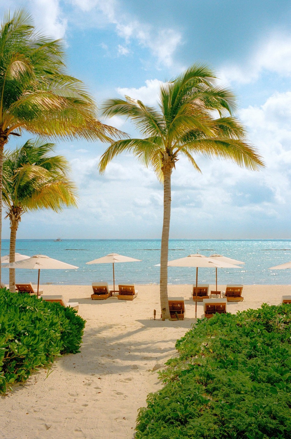A sandy path leads to a beach with palm trees, lounge chairs, and umbrellas by the ocean under a partly cloudy sky.