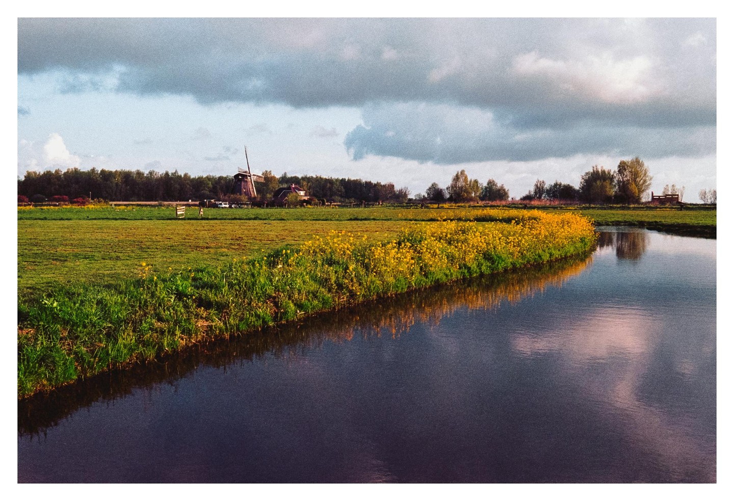 A windmill stands in the distance behind a field of green grass and a winding river with yellow flowers on its bank.