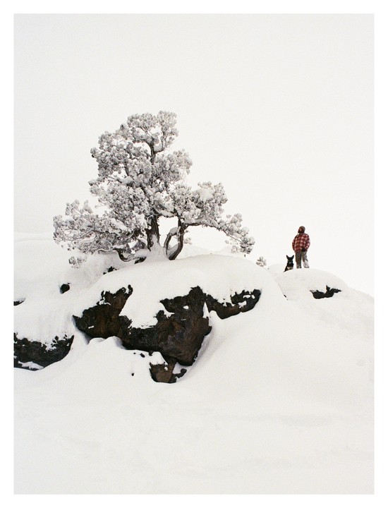 A man and a dog stand on a snow-covered hill next to a snow-laden juniper tree and dark rocks.