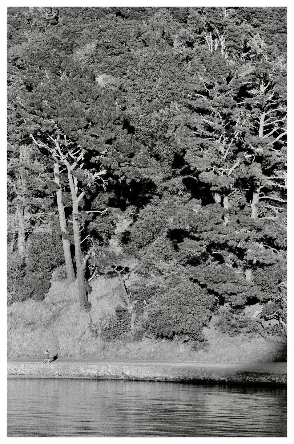 A jogger runs along a path next to a body of water with a dense forest in the background.