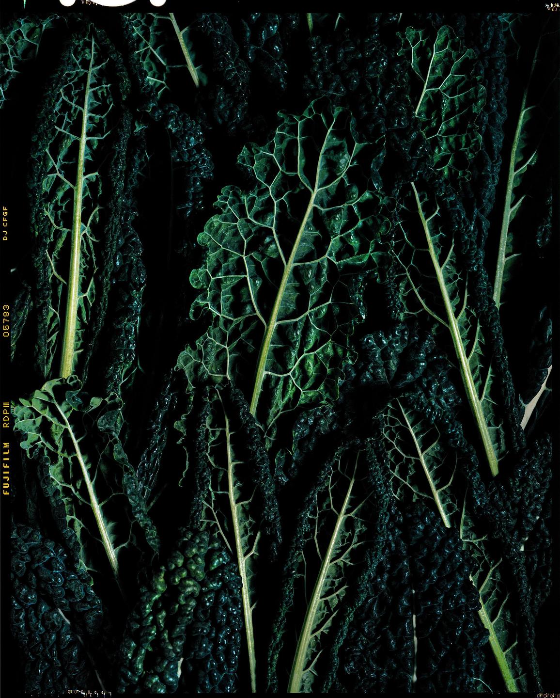 A close-up shot shows several dark green cavolo nero leaves with prominent veins against a black background.