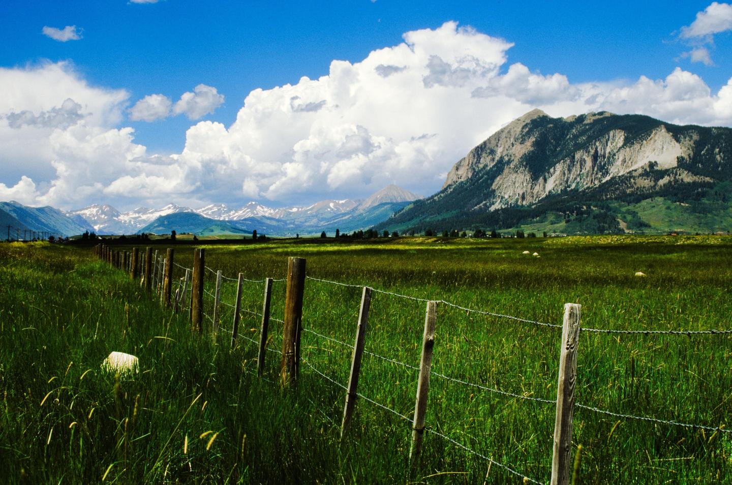 A barbed wire fence runs through a green field towards distant mountains under a blue sky with white clouds.