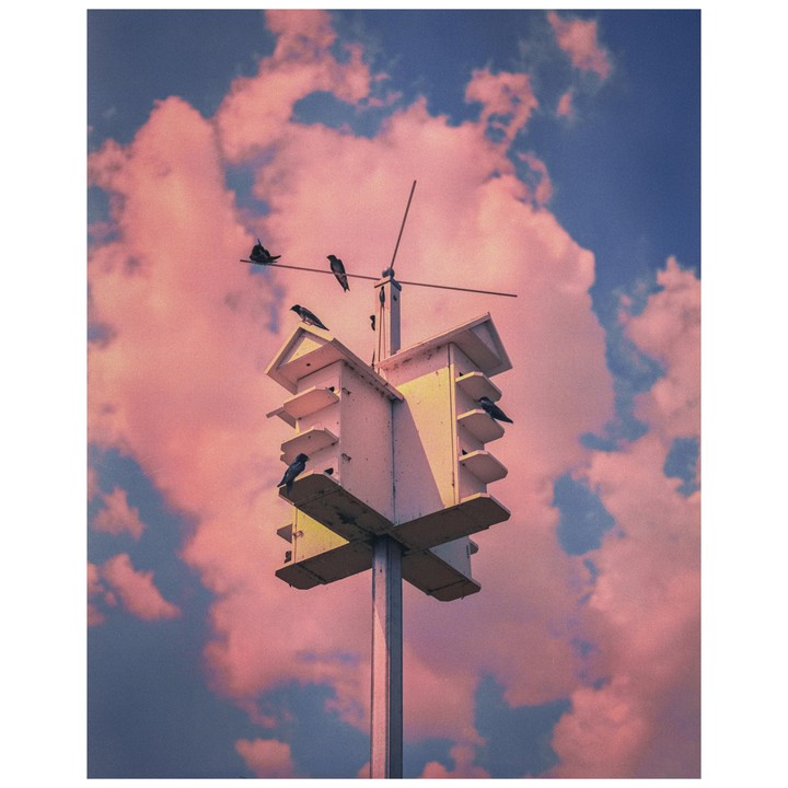 Several birds perch on a tall, multi-tiered birdhouse against a sky filled with pink and blue clouds.