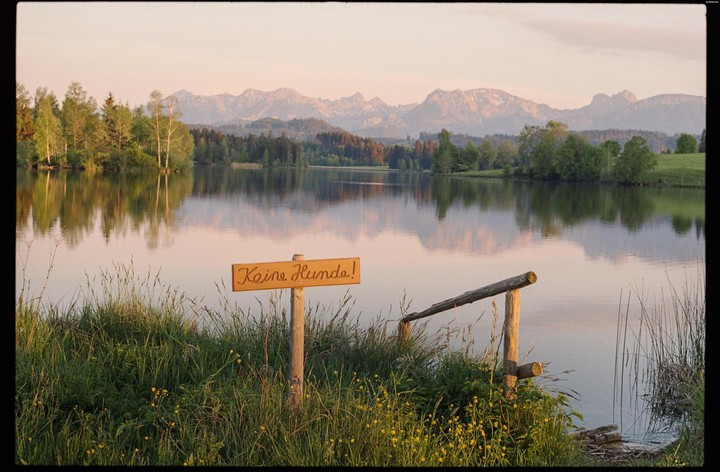 A wooden sign that reads "Keine Hunde!" stands in the grass next to a lake with mountains in the background.