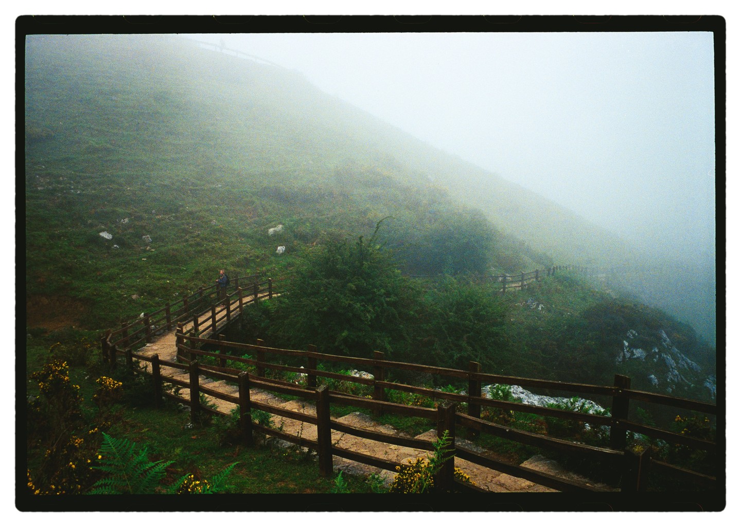 A person walks along a winding path with a wooden fence on a foggy hillside.