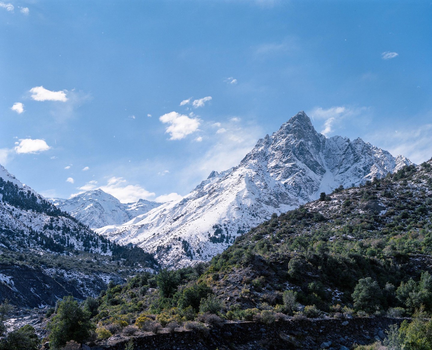A snow-capped mountain peak rises above a valley with green trees and shrubs under a blue sky with white clouds.