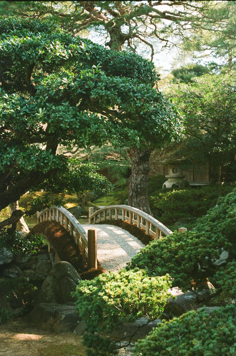 A wooden bridge with a gravel path curves through a lush green garden with large trees and a stone lantern.