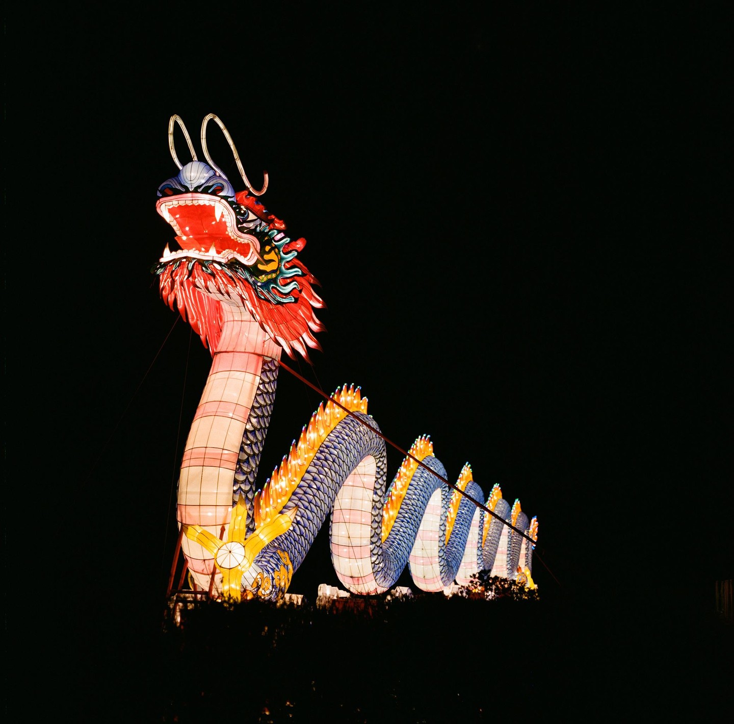 A large, illuminated dragon sculpture with red, blue, and yellow details stands against a dark night sky.