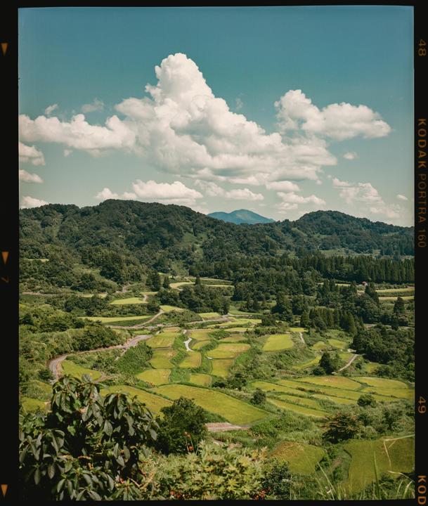 Terraced rice paddies are nestled among green hills under a blue sky with white clouds.