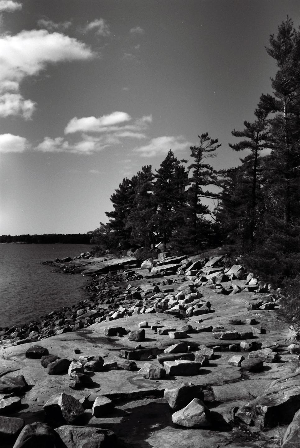 A rocky shoreline with pine trees and water under a cloudy sky.