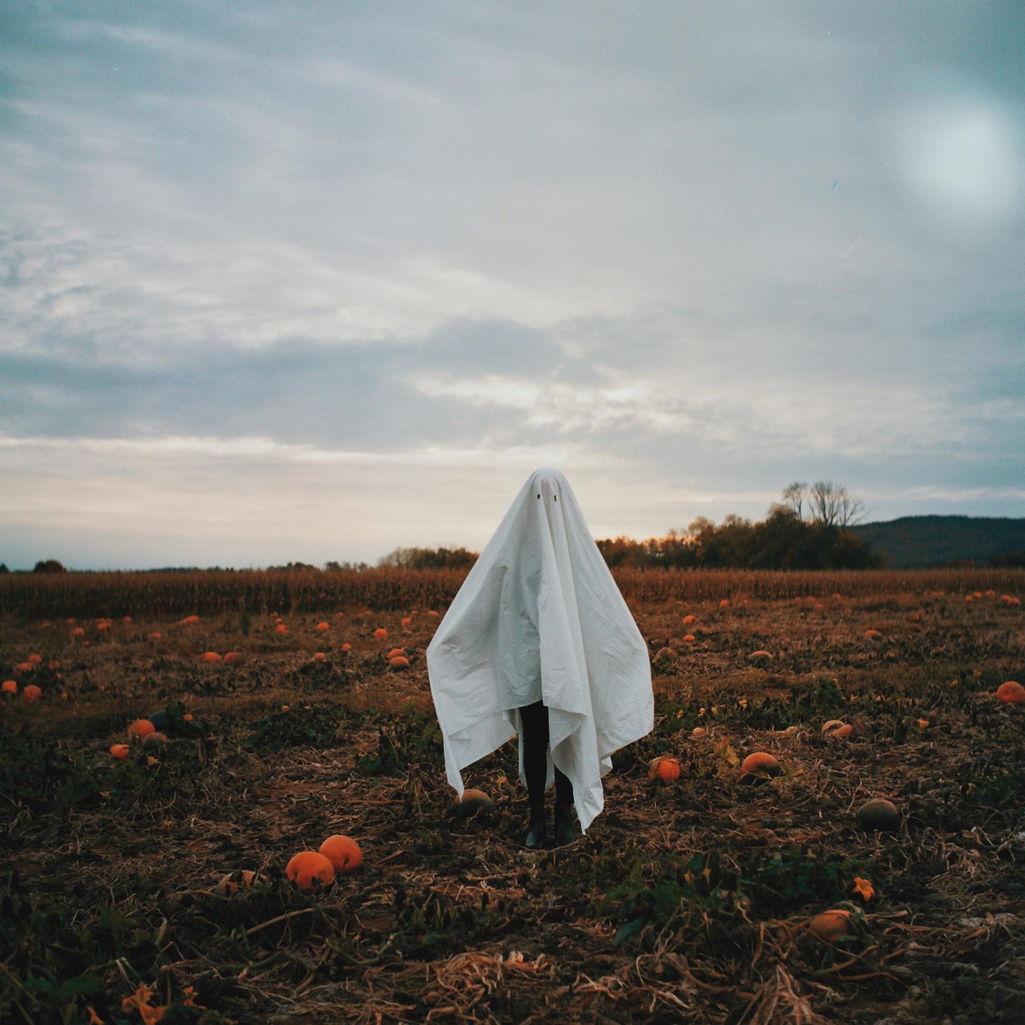 A person dressed as a ghost stands in a pumpkin patch under a cloudy sky.
