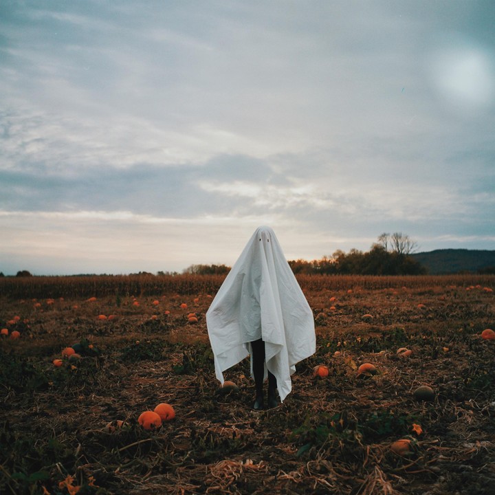 A person dressed as a ghost stands in a pumpkin patch under a cloudy sky.