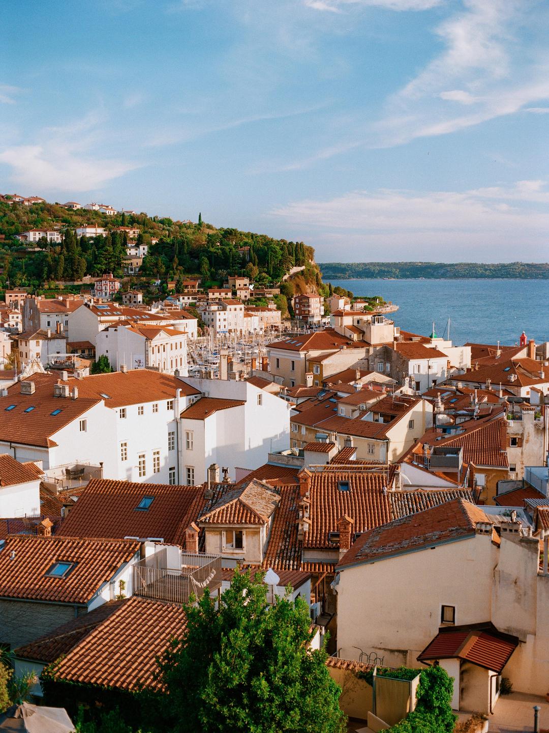 A coastal town with red-tiled roofs is nestled on a hillside overlooking a body of water.