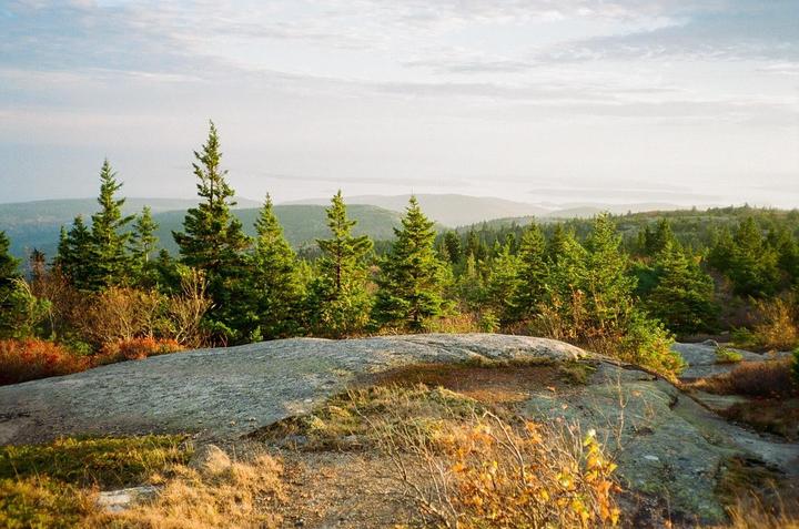 A rocky outcrop overlooks a dense forest of pine trees with distant hills and water under an overcast sky.