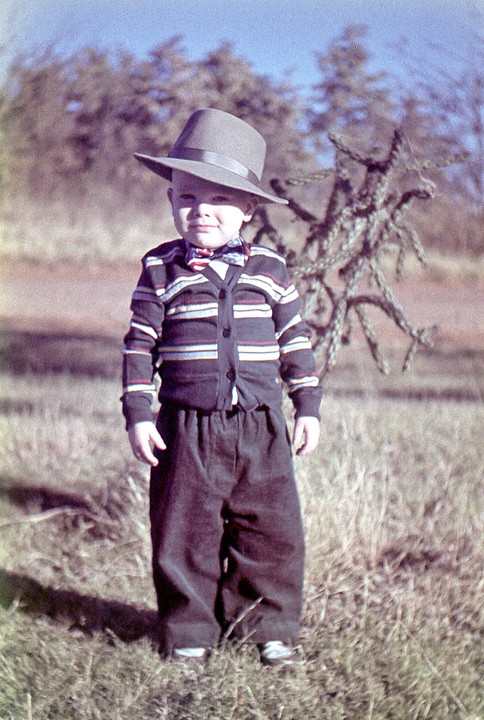 A young boy wearing a hat, cardigan, and bow tie stands in a grassy field.