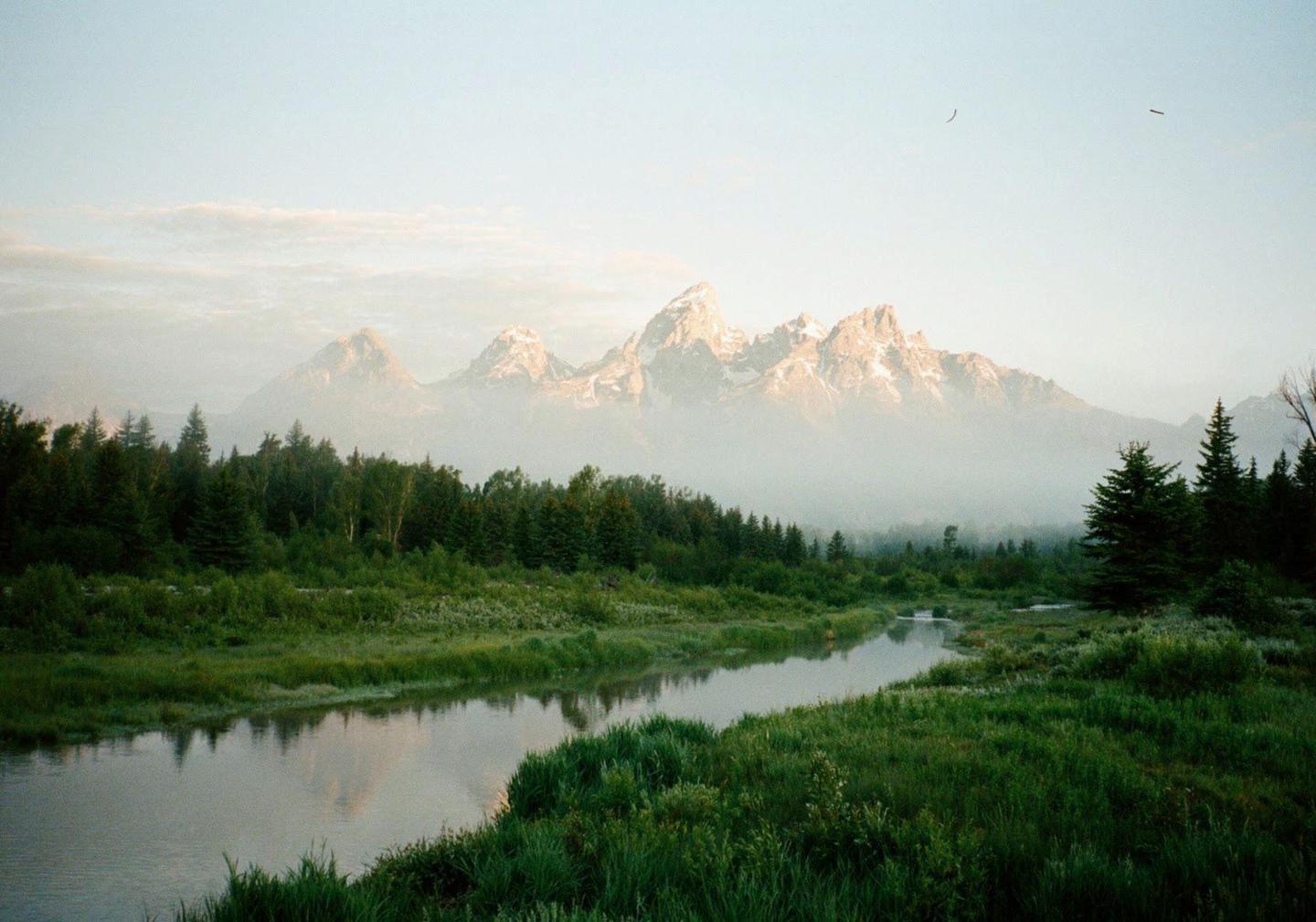 A river flows through a lush green landscape with a forest and hazy mountains in the background.