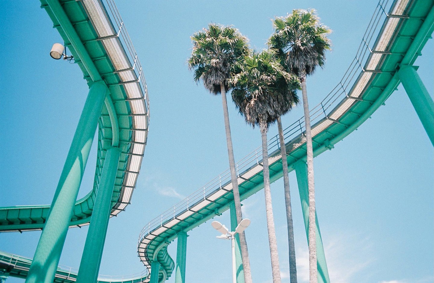 A teal roller coaster track curves through the sky with palm trees in the background.
