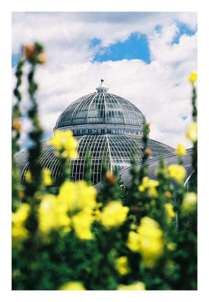 A glass conservatory dome is visible behind yellow flowers and green foliage under a cloudy sky.