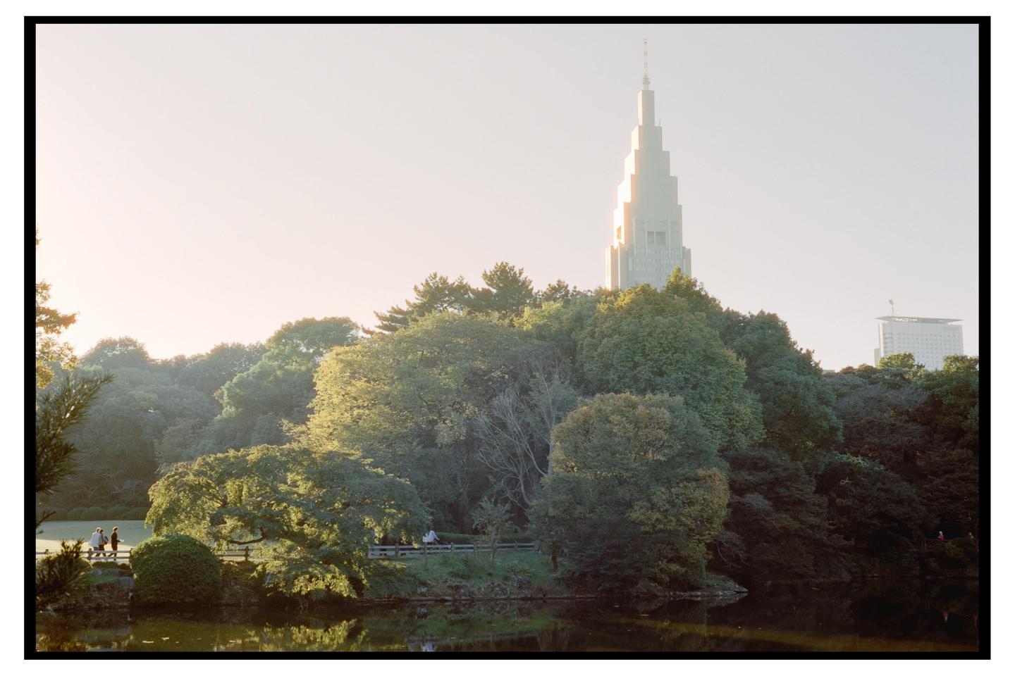 A tall, light-colored building with a spire rises above a dense forest next to a body of water, with people walking on a path in the distance.
