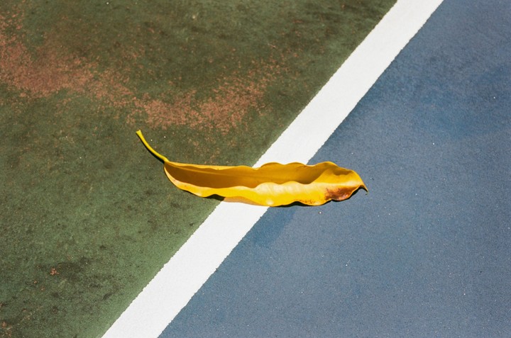 A yellow leaf rests on a tennis court line, dividing green and blue surfaces.