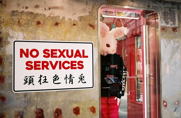A mannequin wearing a rabbit head and red pants stands behind a window next to a sign that reads "NO SEXUAL SERVICES."