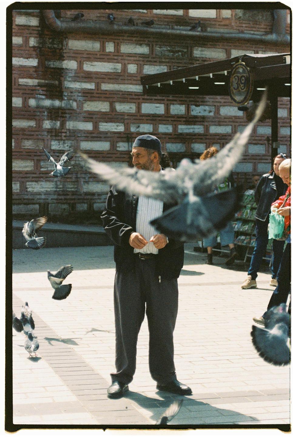 A man stands among pigeons on a paved street in front of a brick building.