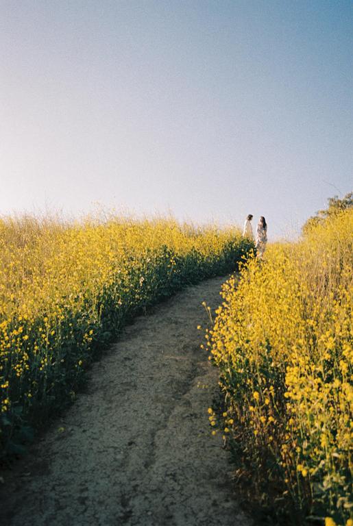Two women stand on a hill covered in yellow flowers with a dirt path leading up to them.