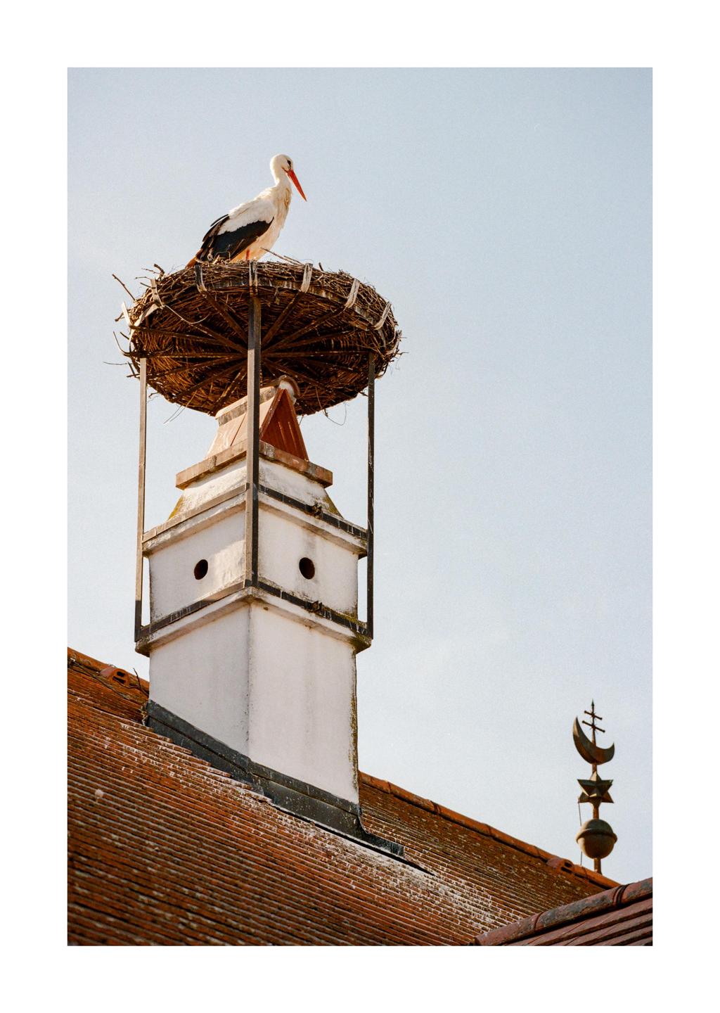 A stork stands in a nest on top of a chimney on a tiled roof.