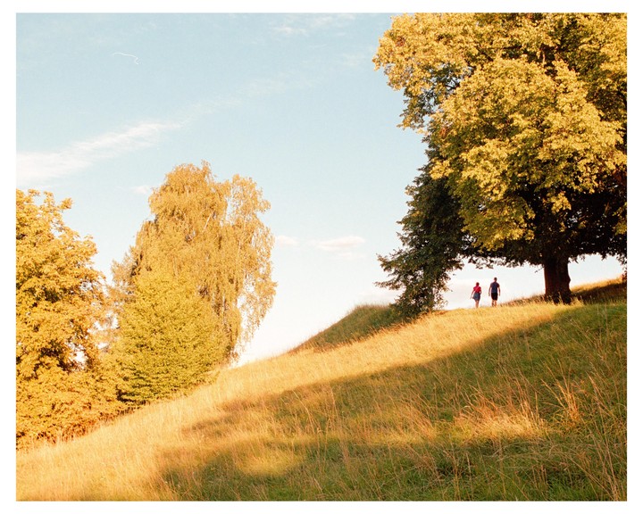A couple walks up a grassy hill towards a large tree under a bright sky.
