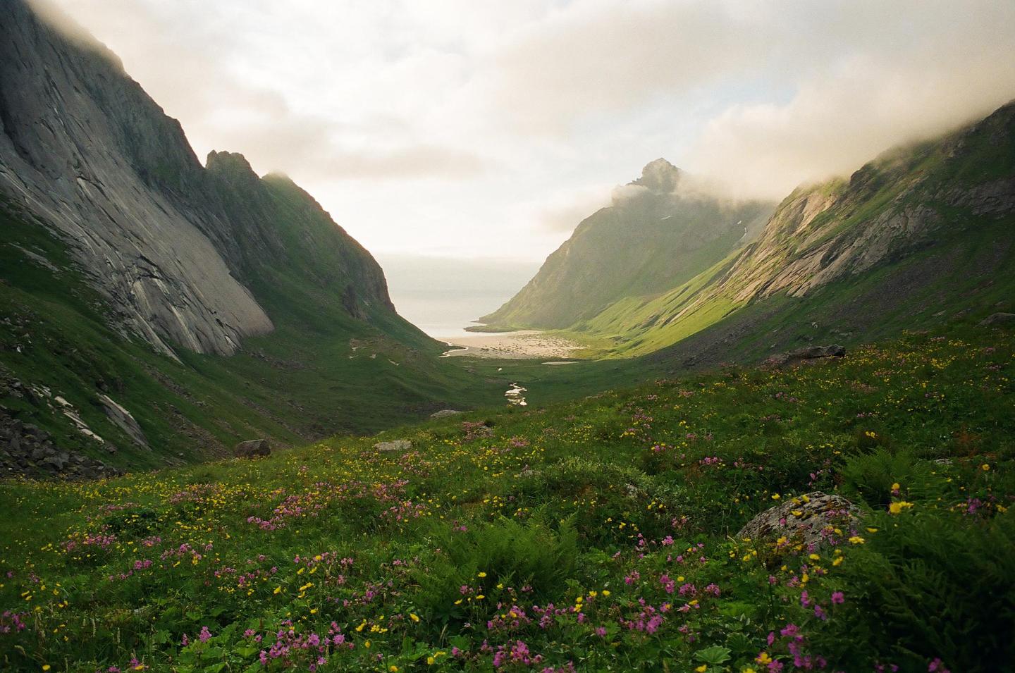 A valley filled with wildflowers leads to a body of water surrounded by mountains under a cloudy sky.