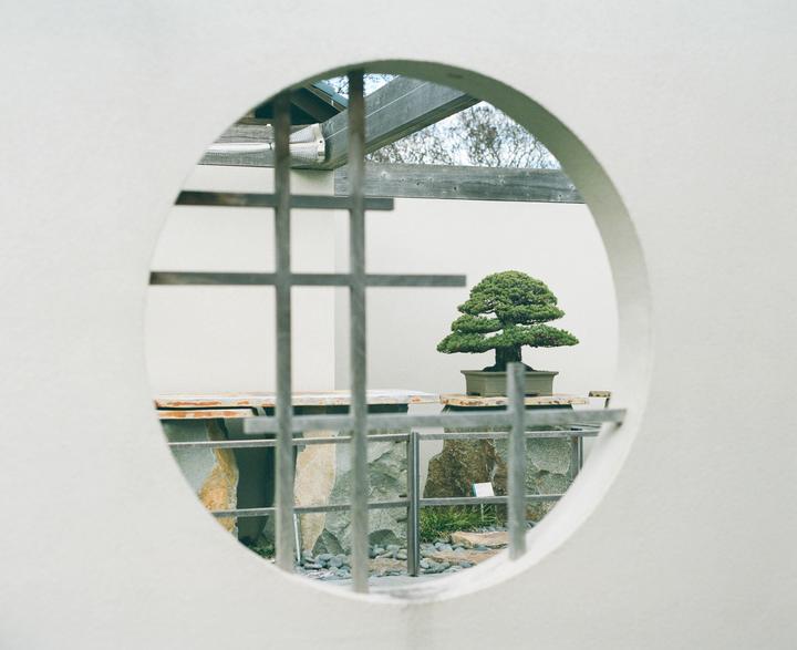 A bonsai tree is visible through a circular window with a metal grate.