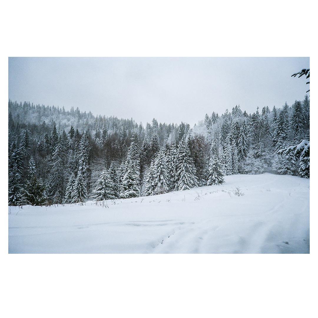 A snow-covered forest fills the frame under a hazy sky.