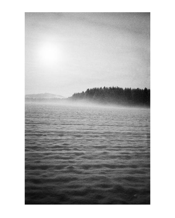 A bright sun shines over a misty forest and a field of snow.