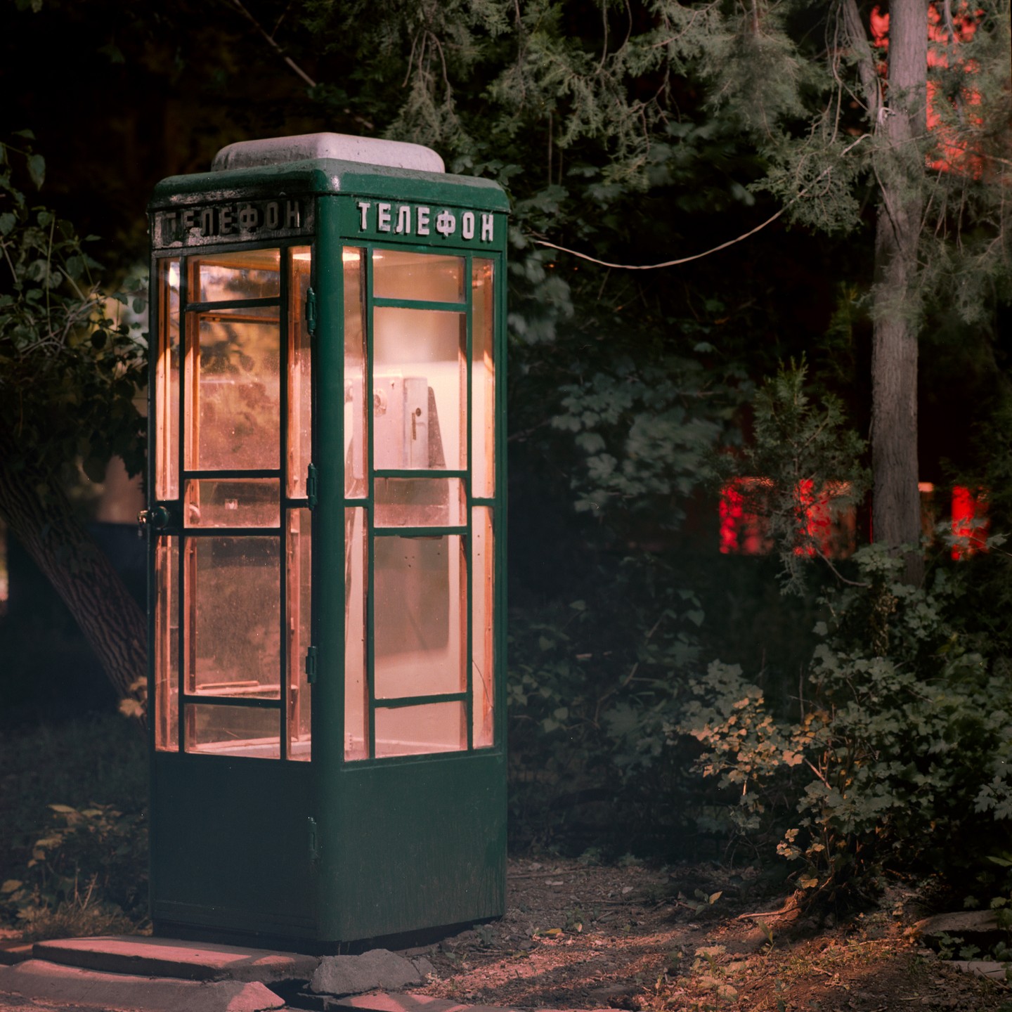 A green telephone booth with glowing windows stands among trees at night.
