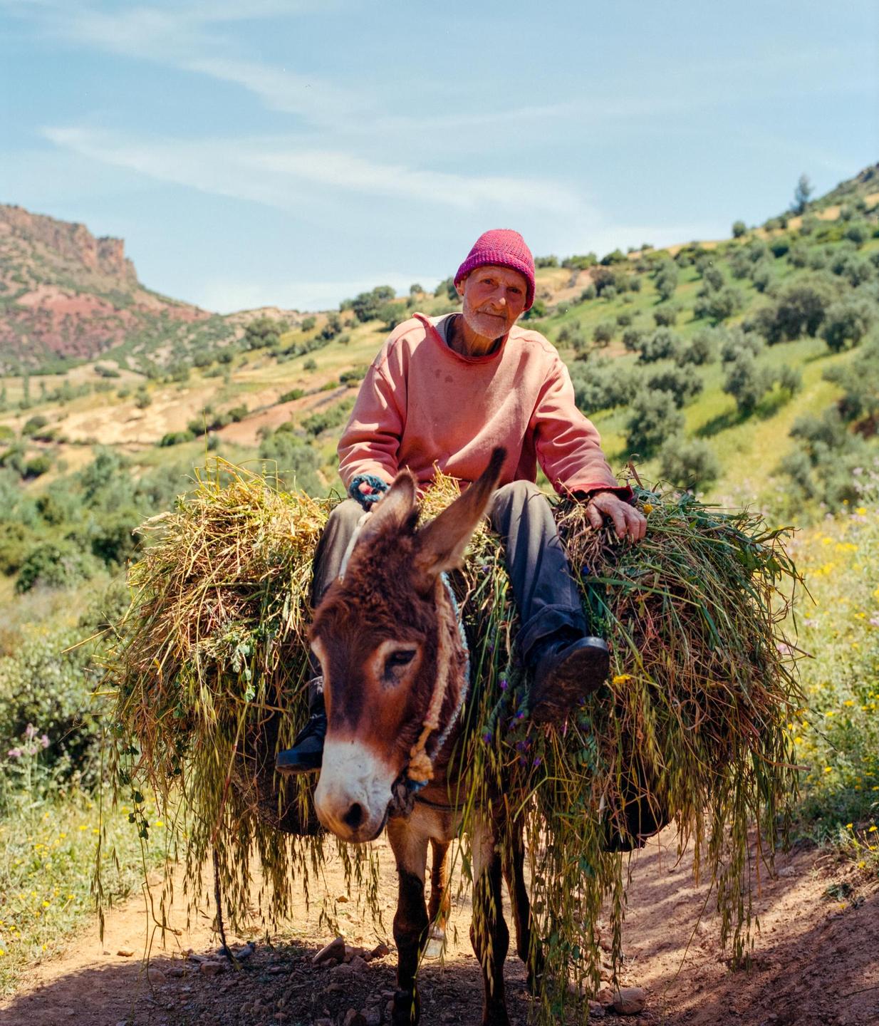 A man sits on a donkey laden with hay on a dirt path in a mountainous landscape.