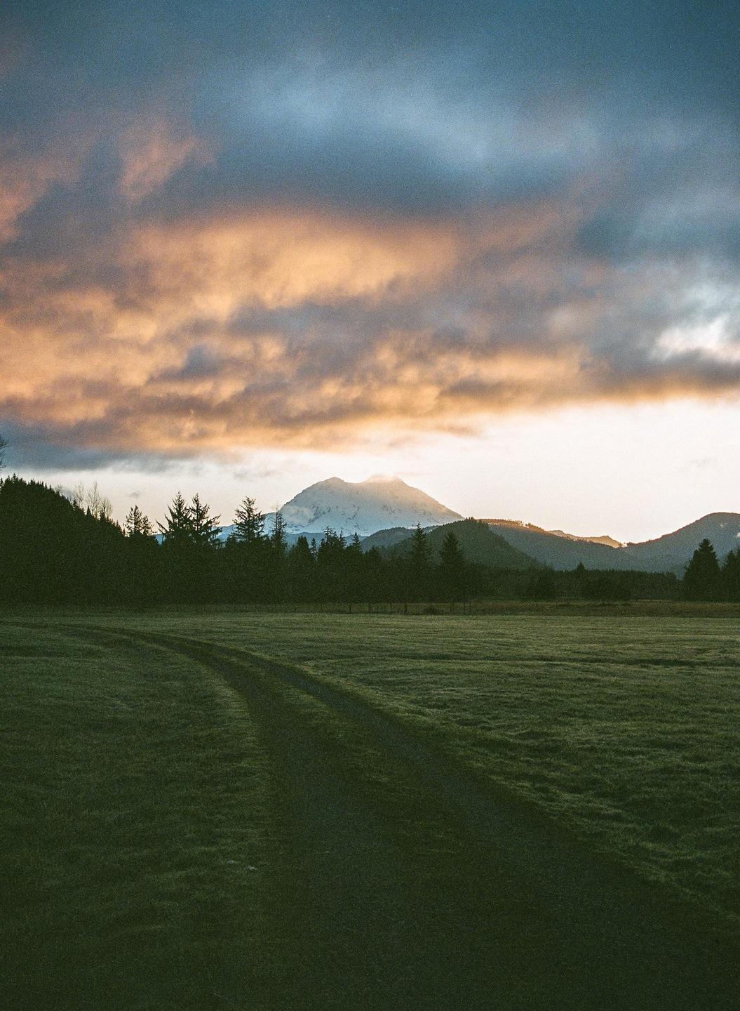 A dirt road curves through a grassy field towards a forest with a snow-capped mountain in the distance under a cloudy sky.
