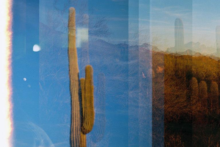 A saguaro cactus is visible against a blue sky, with a desert landscape and mountains in the background, all overlaid with vertical stripes.