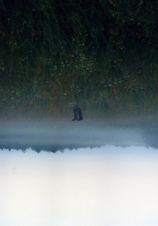 A pair of boots appears to float above a misty landscape with a line of trees and an inverted field of grass and flowers.