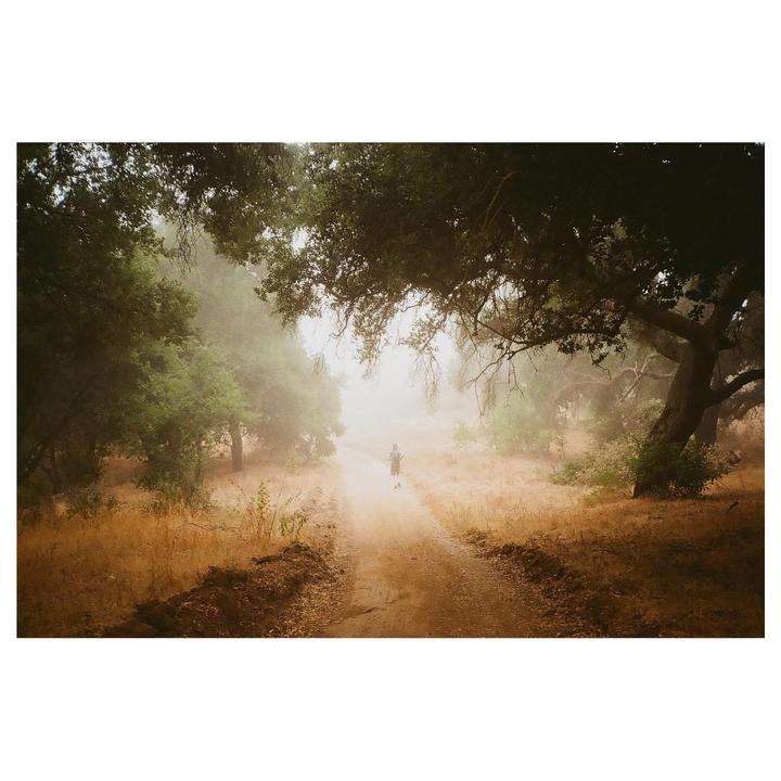A person runs on a dirt path through a hazy, tree-lined landscape.