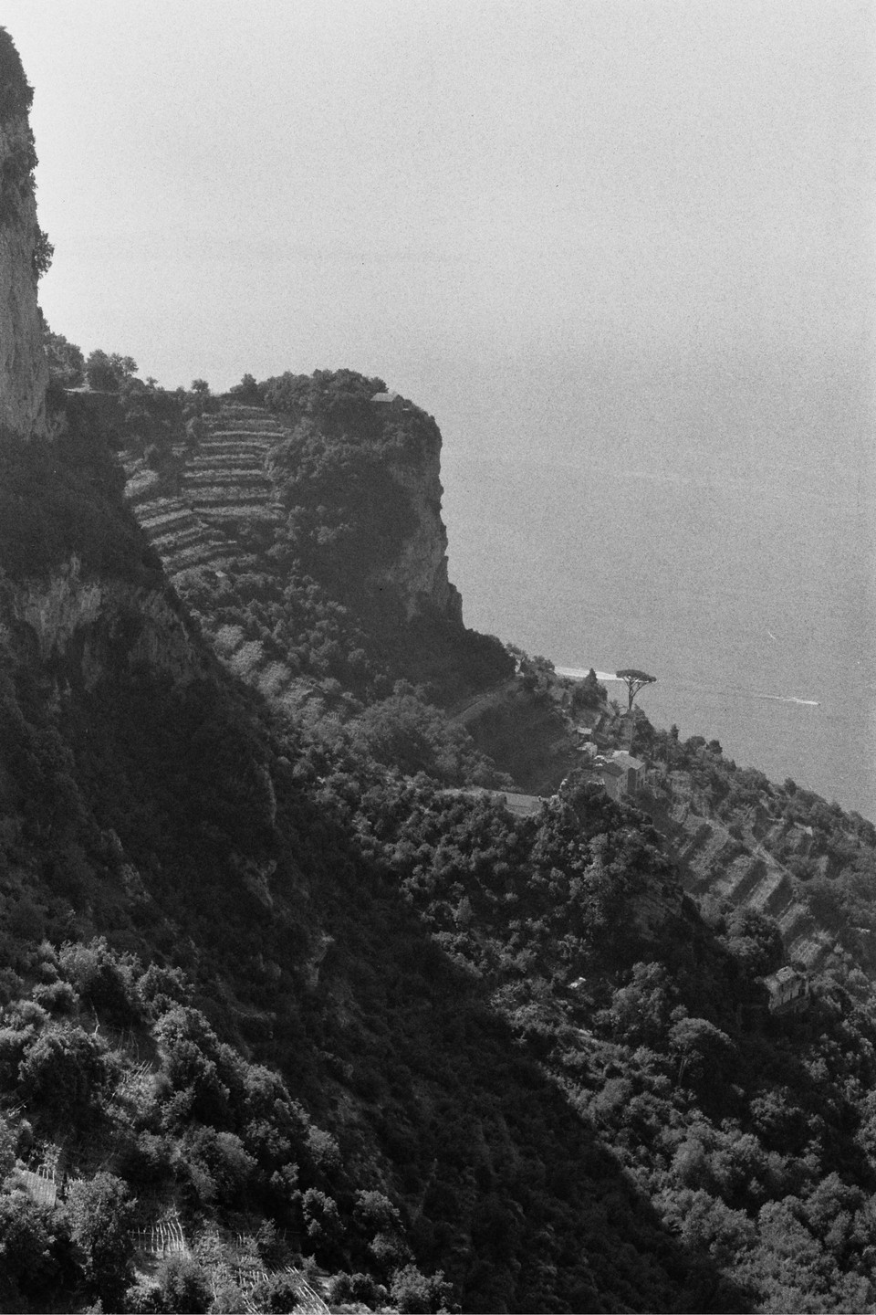 A steep, terraced hillside covered in dense vegetation descends towards a body of water under a bright sky.
