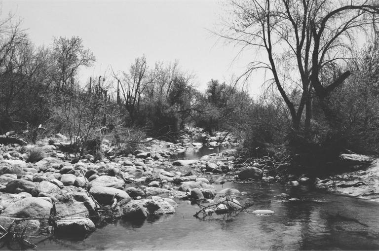 A rocky stream flows through a desert landscape with sparse trees and cacti.