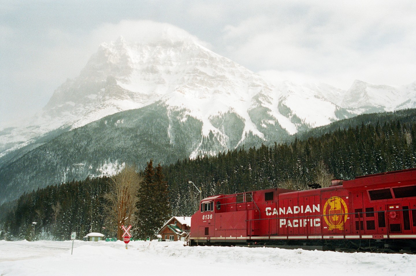 A red Canadian Pacific train is parked in a snowy landscape with a dense forest and a large, snow-covered mountain in the background.