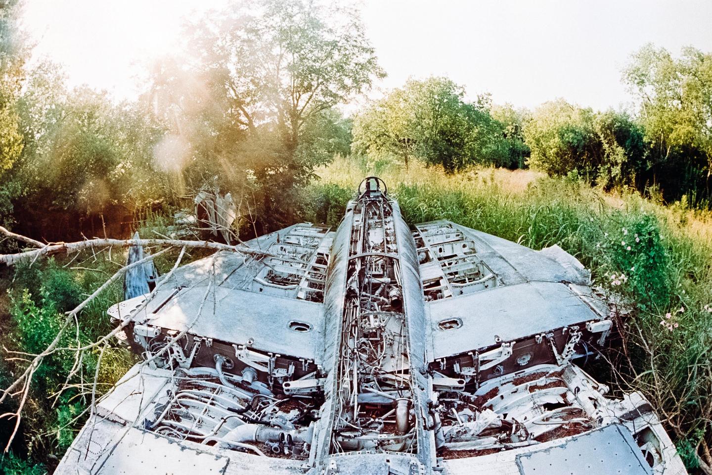 A crashed airplane is overgrown with vegetation in a field.
